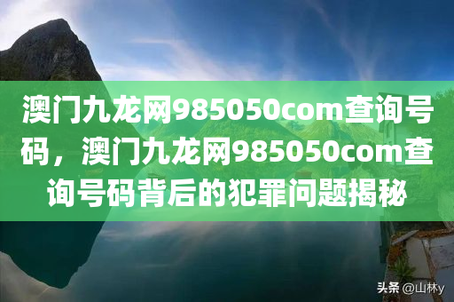 澳门九龙网985050com查询号码，澳门九龙网985050com查询号码背后的犯罪问题揭秘