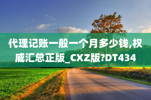 代理记账一般一个月多少钱,权威汇总正版_CXZ版?DT434