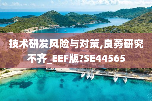 技术研发风险与对策,良莠研究不齐_EEF版?SE44565