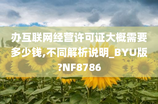 办互联网经营许可证大概需要多少钱,不同解析说明_BYU版?NF8786