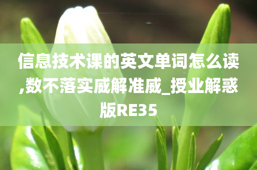 信息技术课的英文单词怎么读,数不落实威解准威_授业解惑版RE35