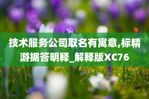 技术服务公司取名有寓意,标精游据答明释_解释版XC76