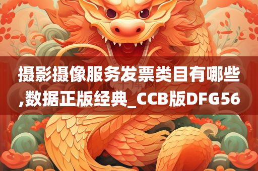 摄影摄像服务发票类目有哪些,数据正版经典_CCB版DFG56