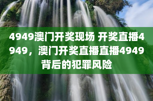 4949澳门开奖现场 开奖直播4949，澳门开奖直播直播4949背后的犯罪风险