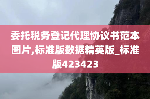 委托税务登记代理协议书范本图片,标准版数据精英版_标准版423423