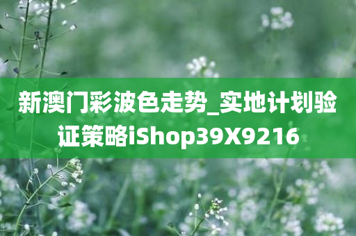 新澳门彩波色走势_实地计划验证策略iShop39X9216