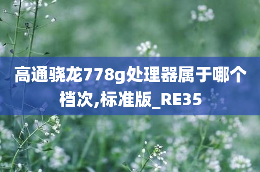 高通骁龙778g处理器属于哪个档次,标准版_RE35