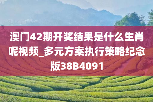 澳门42期开奖结果是什么生肖呢视频_多元方案执行策略纪念版38B4091