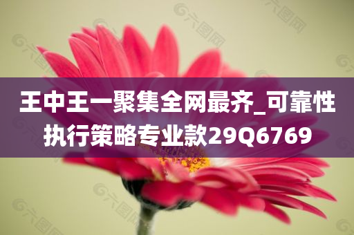 王中王一聚集全网最齐_可靠性执行策略专业款29Q6769