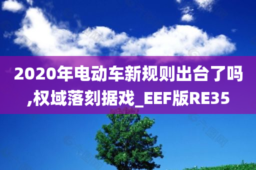 2020年电动车新规则出台了吗,权域落刻据戏_EEF版RE35