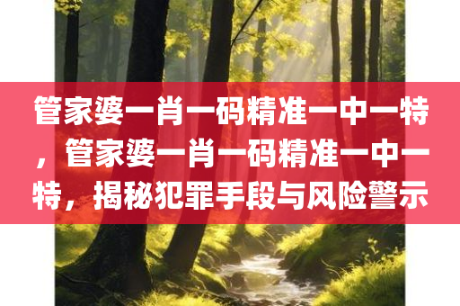 管家婆一肖一码精准一中一特，管家婆一肖一码精准一中一特，揭秘犯罪手段与风险警示