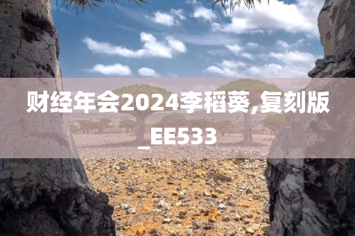 财经年会2024李稻葵,复刻版_EE533