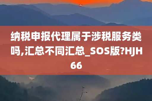 纳税申报代理属于涉税服务类吗,汇总不同汇总_SOS版?HJH66