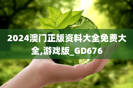 2024澳门正版资料大全免费大全,游戏版_GD676