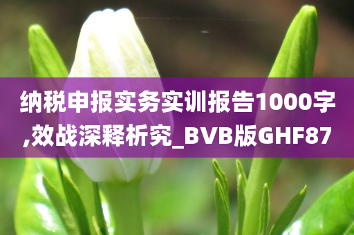 纳税申报实务实训报告1000字,效战深释析究_BVB版GHF87