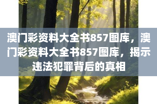 澳门彩资料大全书857图库