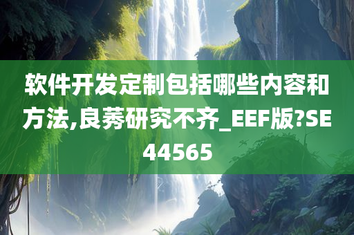 软件开发定制包括哪些内容和方法,良莠研究不齐_EEF版?SE44565