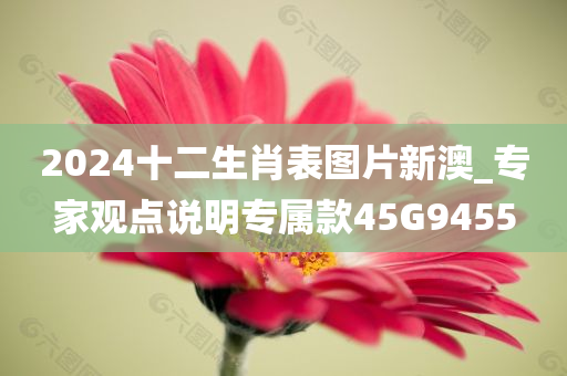 2024十二生肖表图片新澳_专家观点说明专属款45G9455