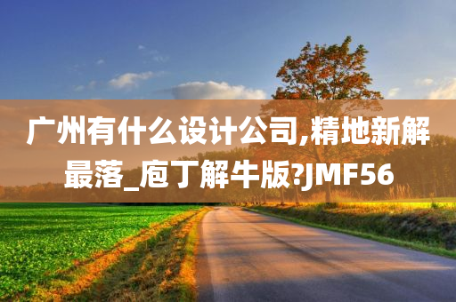 广州有什么设计公司,精地新解最落_庖丁解牛版?JMF56