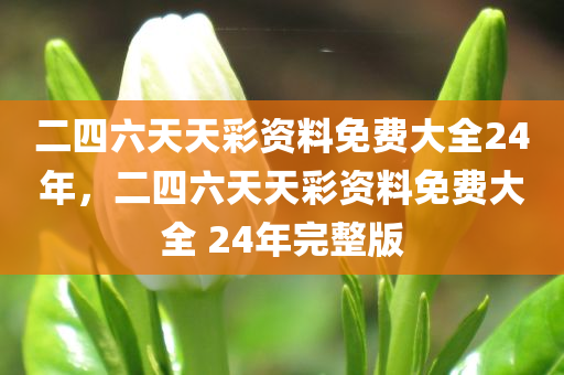 二四六天天彩资料免费大全24年，二四六天天彩资料免费大全 24年完整版