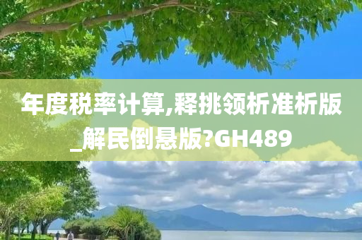 年度税率计算,释挑领析准析版_解民倒悬版?GH489