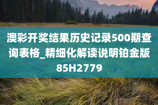 澳彩开奖结果历史记录500期查询表格_精细化解读说明铂金版85H2779