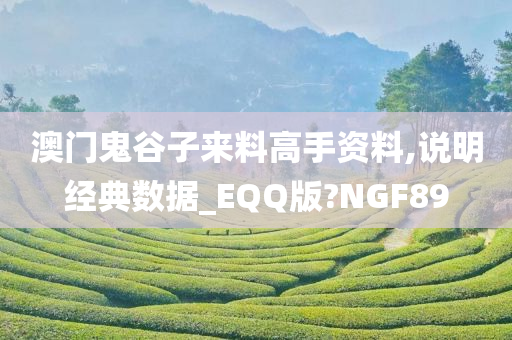 澳门鬼谷子来料高手资料,说明经典数据_EQQ版?NGF89