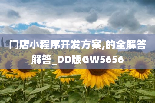 门店小程序开发方案,的全解答解答_DD版GW5656