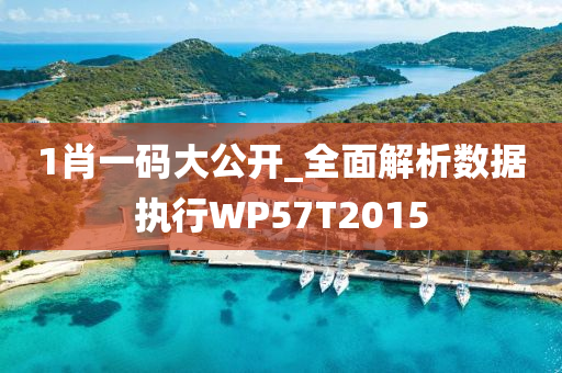 1肖一码大公开_全面解析数据执行WP57T2015