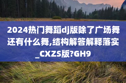 2024热门舞蹈dj版除了广场舞还有什么舞,结构解答解释落实_CXZS版?GH9