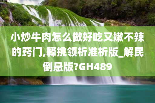 小炒牛肉怎么做好吃又嫩不辣的窍门,释挑领析准析版_解民倒悬版?GH489