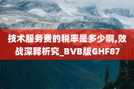 技术服务费的税率是多少啊,效战深释析究_BVB版GHF87