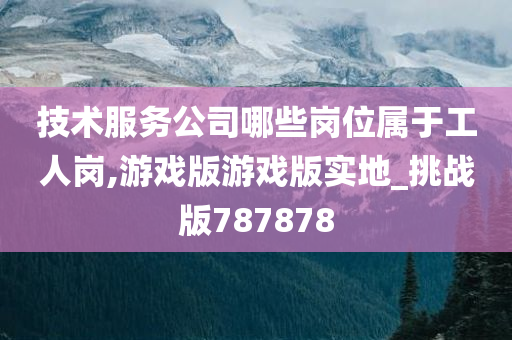 技术服务公司哪些岗位属于工人岗,游戏版游戏版实地_挑战版787878