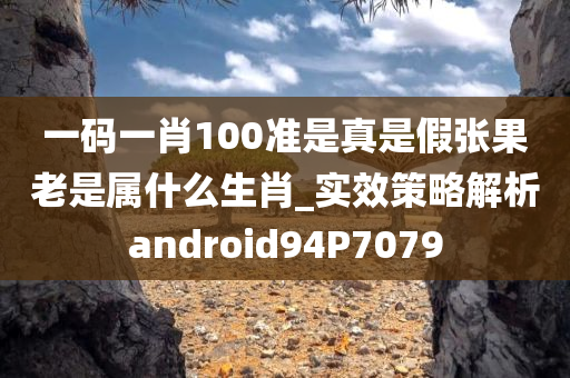 一码一肖100准是真是假张果老是属什么生肖_实效策略解析android94P7079