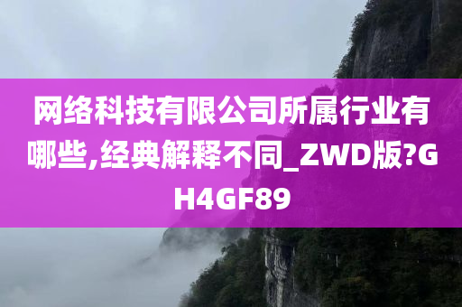 网络科技有限公司所属行业有哪些,经典解释不同_ZWD版?GH4GF89