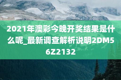 2021年澳彩今晚开奖结果是什么呢_最新调查解析说明2DM56Z2132