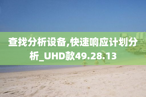 查找分析设备,快速响应计划分析_UHD款49.28.13