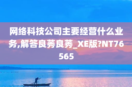 网络科技公司主要经营什么业务,解答良莠良莠_XE版?NT76565