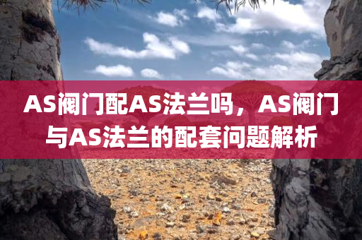 AS阀门配AS法兰吗，AS阀门与AS法兰的配套问题解析