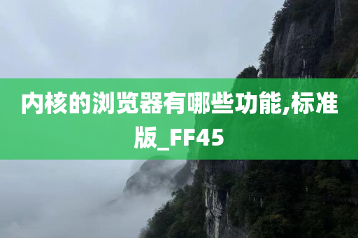 内核的浏览器有哪些功能,标准版_FF45