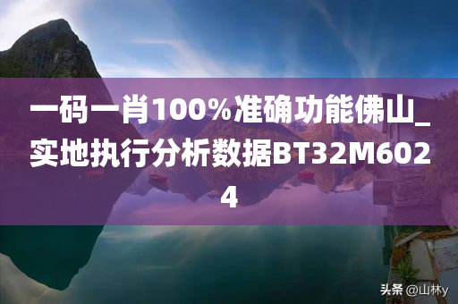 一码一肖100%准确功能佛山_实地执行分析数据BT32M6024