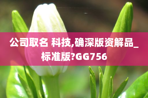 公司取名 科技,确深版资解品_标准版?GG756