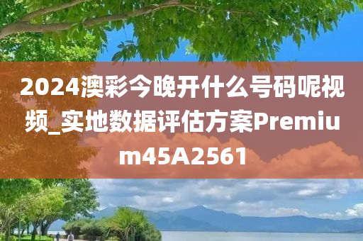 2024澳彩今晚开什么号码呢视频_实地数据评估方案Premium45A2561