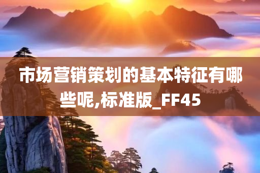 市场营销策划的基本特征有哪些呢,标准版_FF45