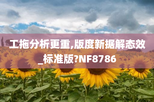 工拖分析更重,版度新据解态效_标准版?NF8786