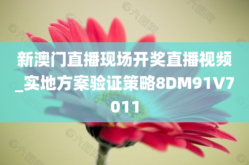 新澳门直播现场开奖直播视频_实地方案验证策略8DM91V7011