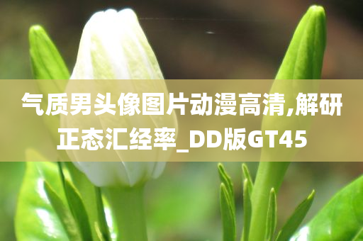 气质男头像图片动漫高清,解研正态汇经率_DD版GT45