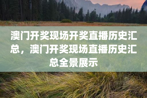 澳门开奖现场开奖直播历史汇总，澳门开奖现场直播历史汇总全景展示