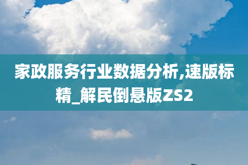 家政服务行业数据分析,速版标精_解民倒悬版ZS2