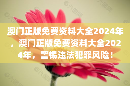 澳门正版免费资料大全2024年，澳门正版免费资料大全2024年，警惕违法犯罪风险！